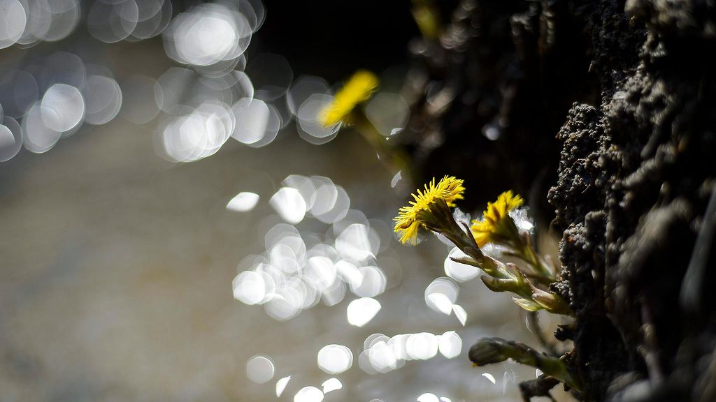 Viikonloppua vietetään poutaisessa säässä – tämä asia on huomioitava