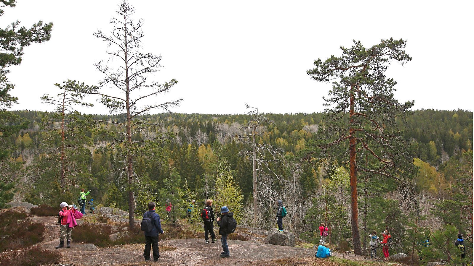 AOP_1.03396260_Nuuksio_kansallispuisto