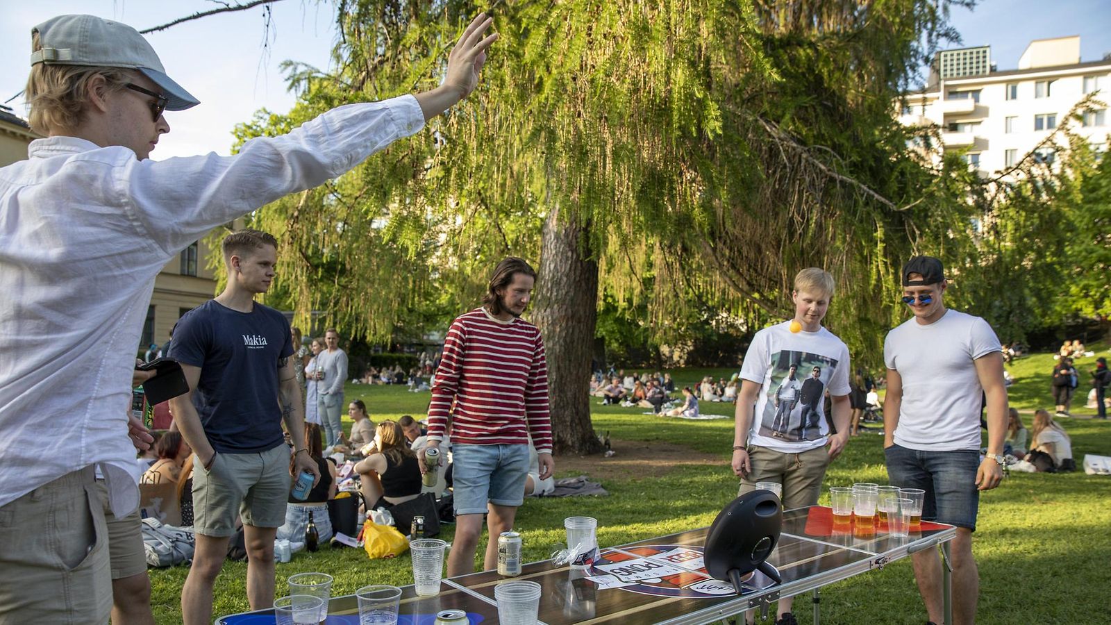 Puistossa juhlijoita Helsingissä.