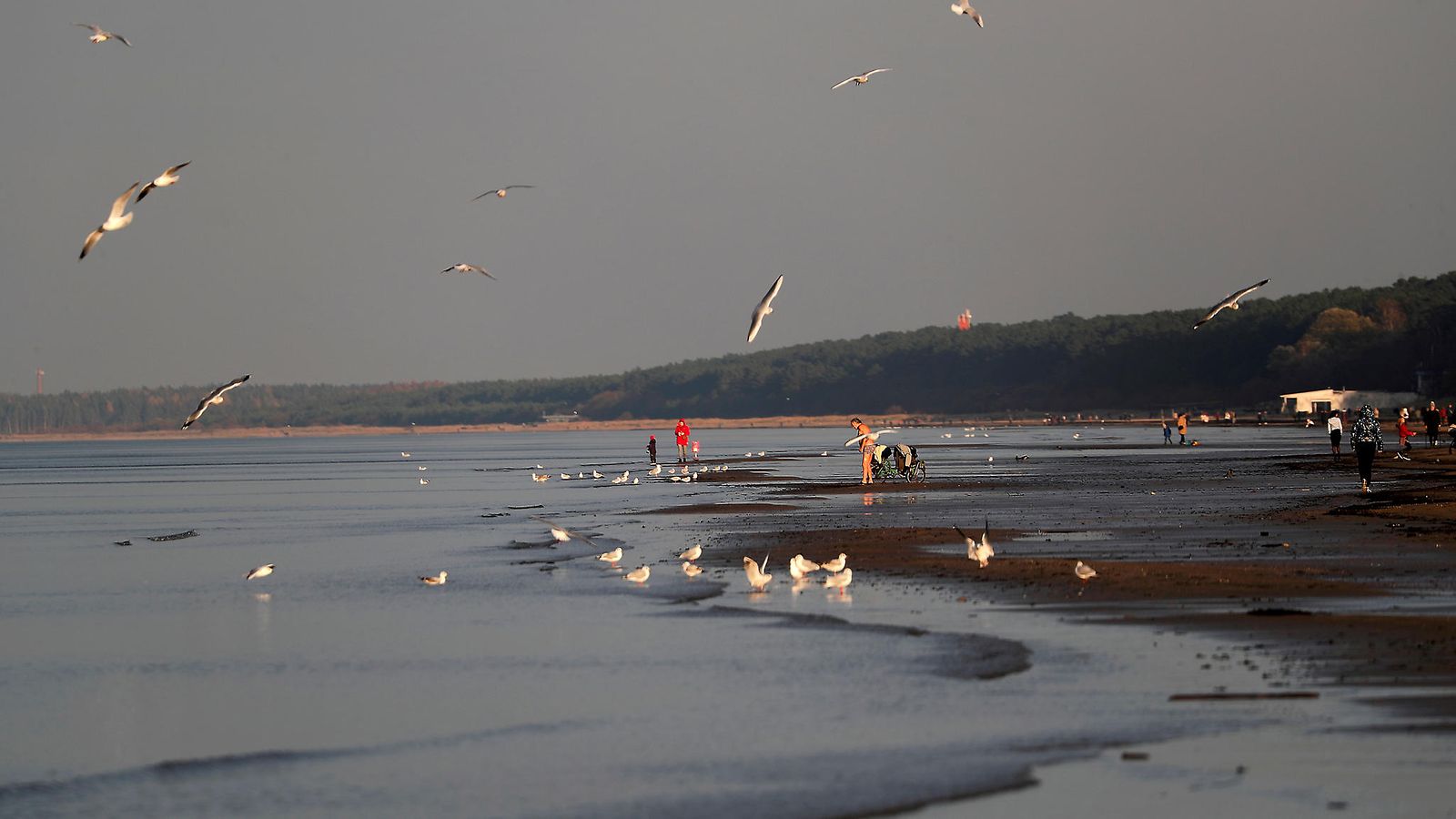 Gulf of Riga