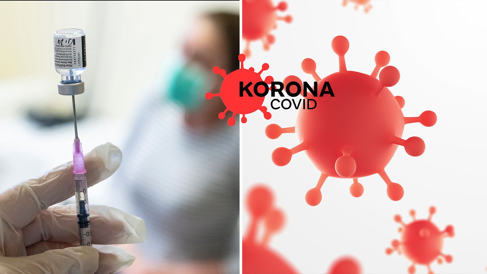 Korona