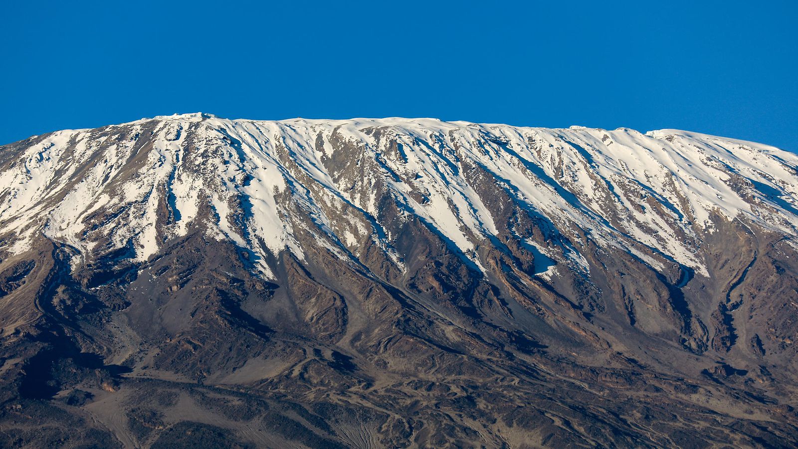 AOP Kilimanjaro