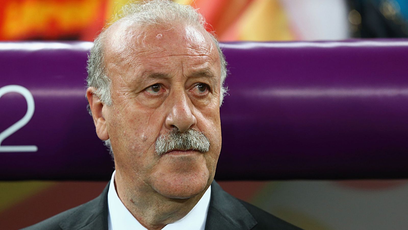 Vicente del Bosque