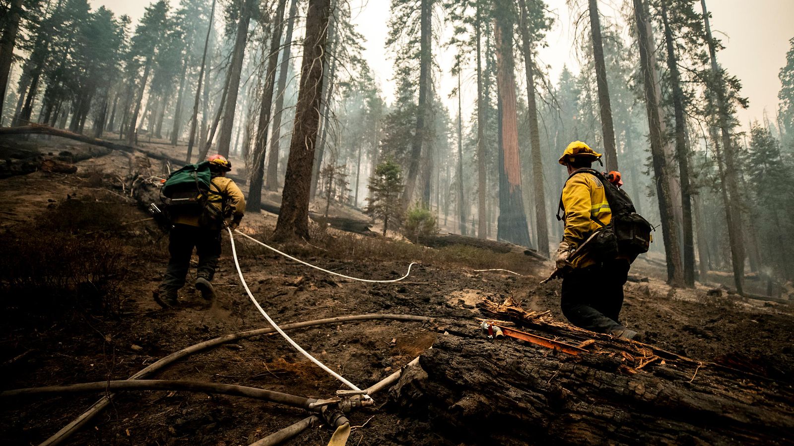 AOP kalifornia metsä palo