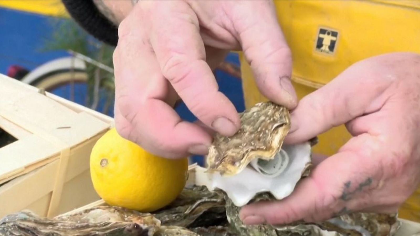 Guinot piilotti tyhjään osterikuoreen paperilapun. Kuva Reuters