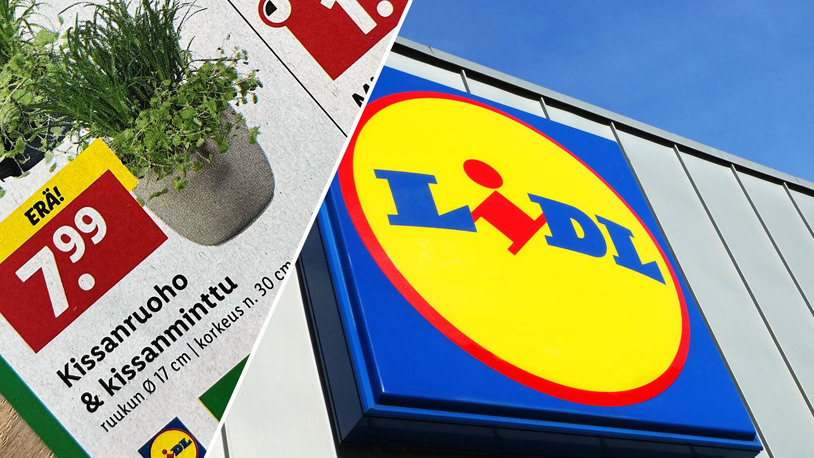 kissanruoho_lidl