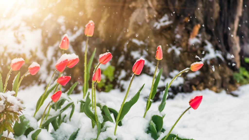 Upeaan kevätsäähän jääkäänne: 