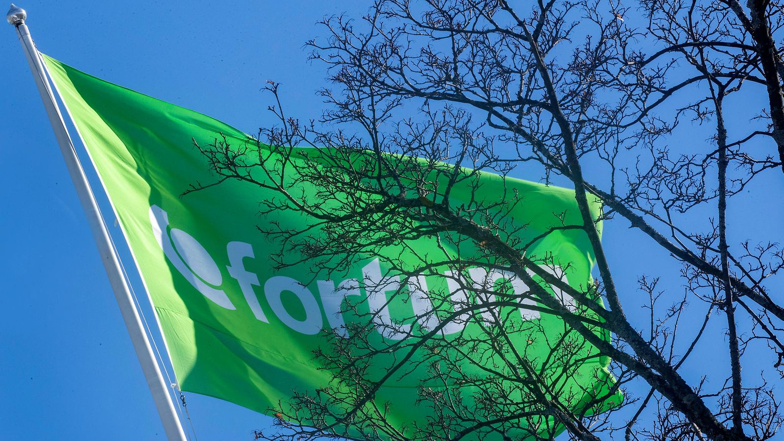 Fortumin lippu maaliskuussa 2021