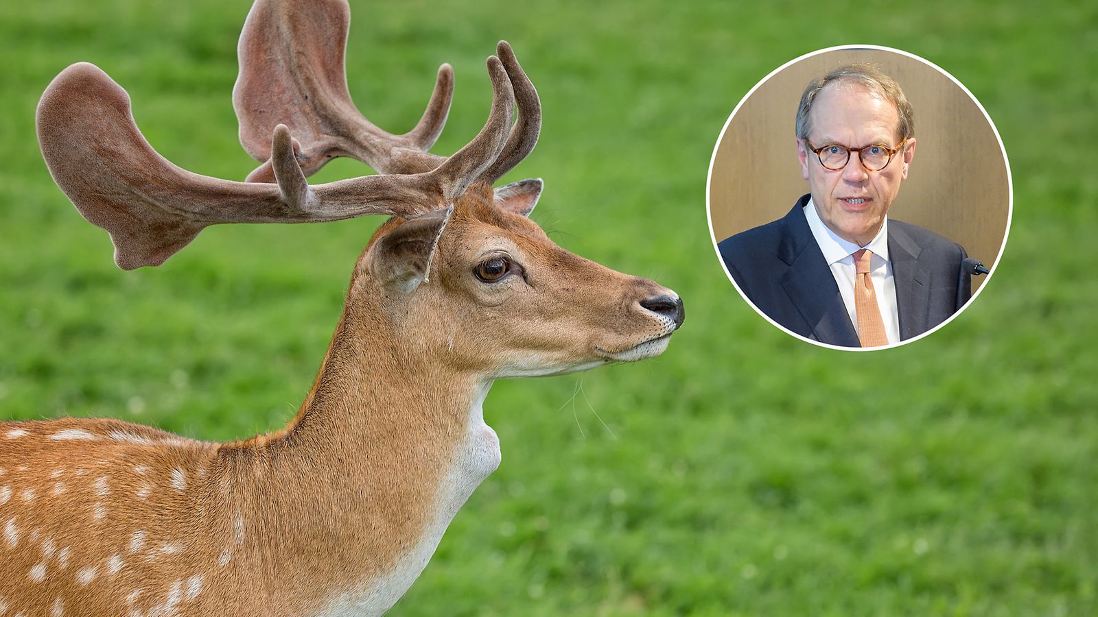 Jorma Ollilan metsästyskielto