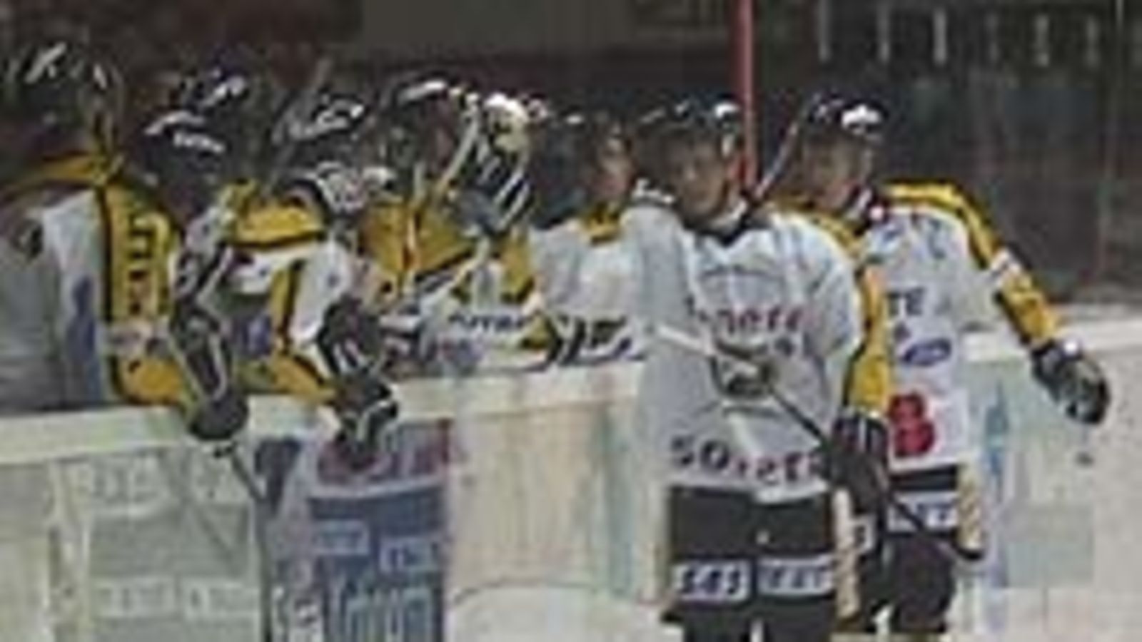 Kärpät