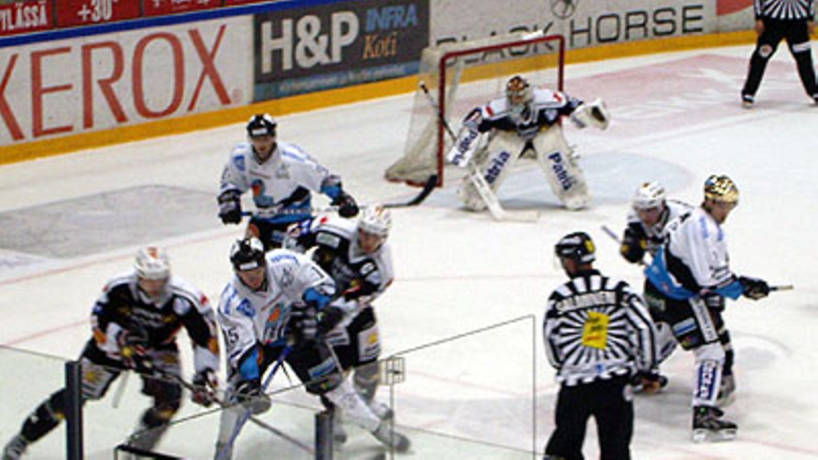 HPK - Pelicans, kuva: Samuli Lehtomäki
