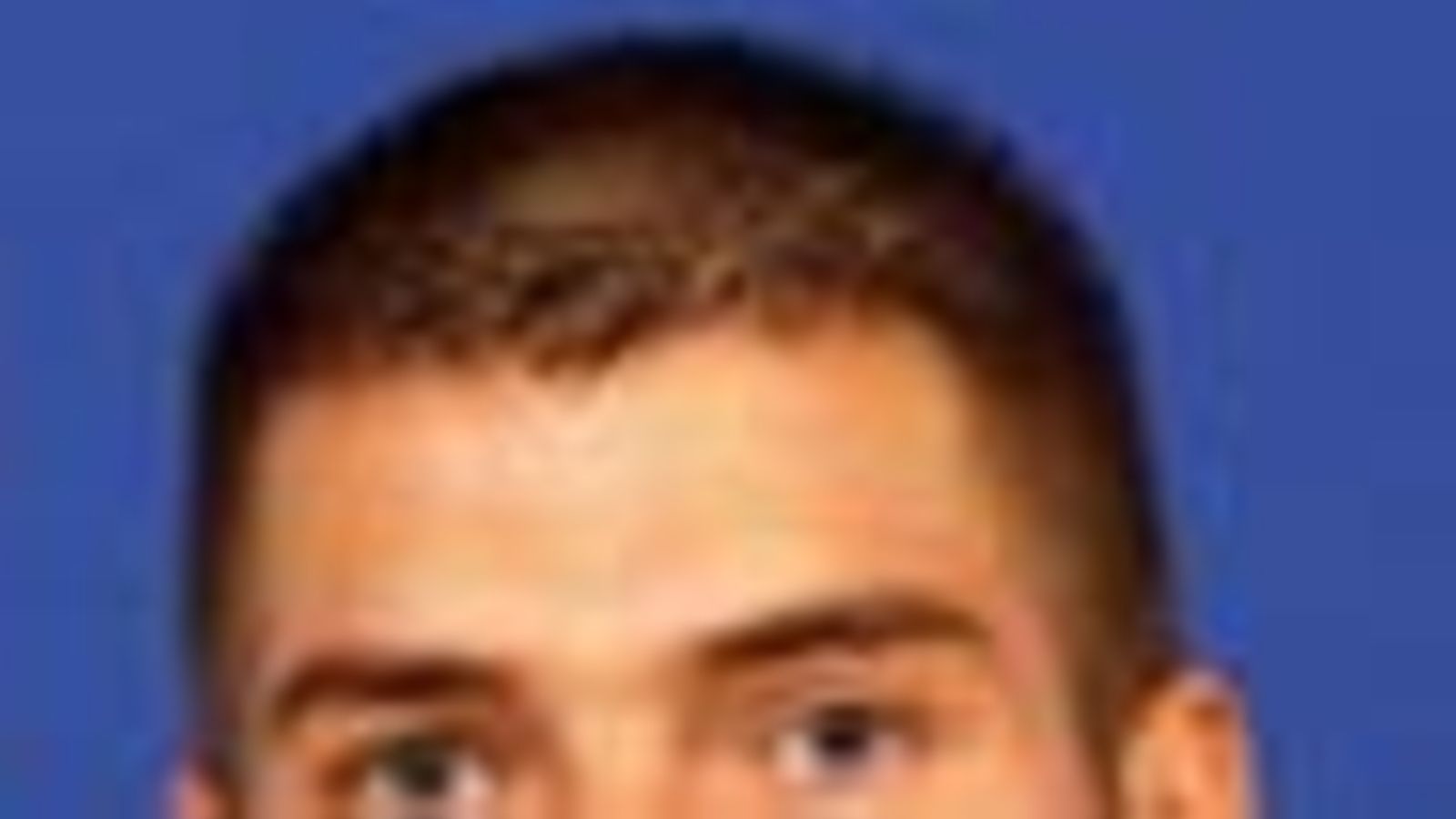 Alanko, Rami