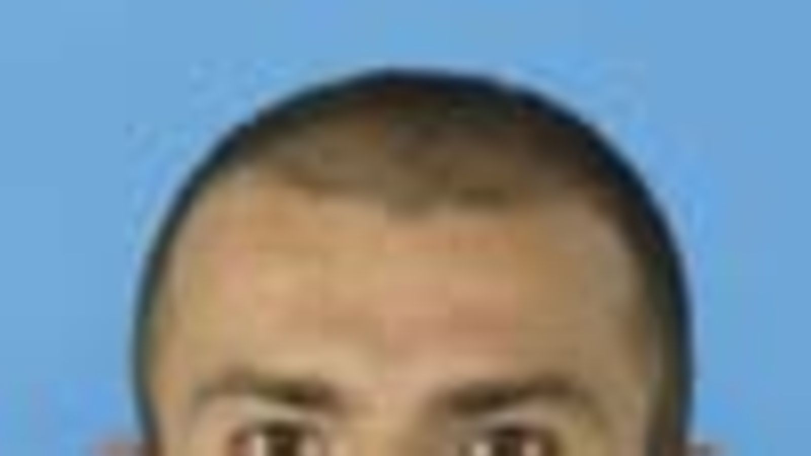 Sachl, Petr