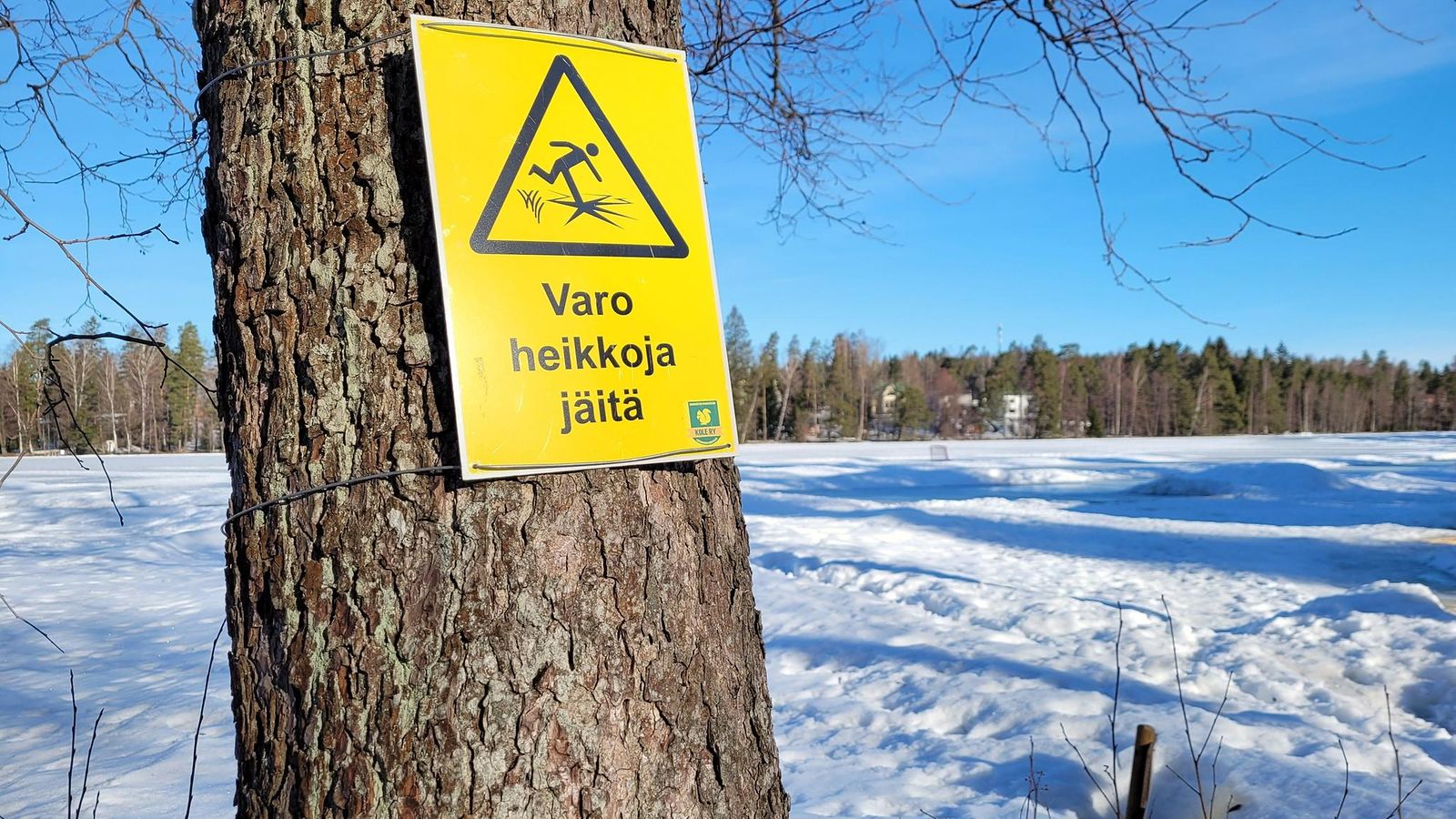 jää