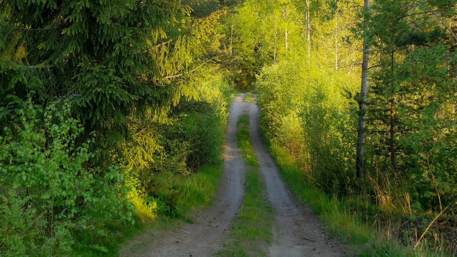 nostokuva