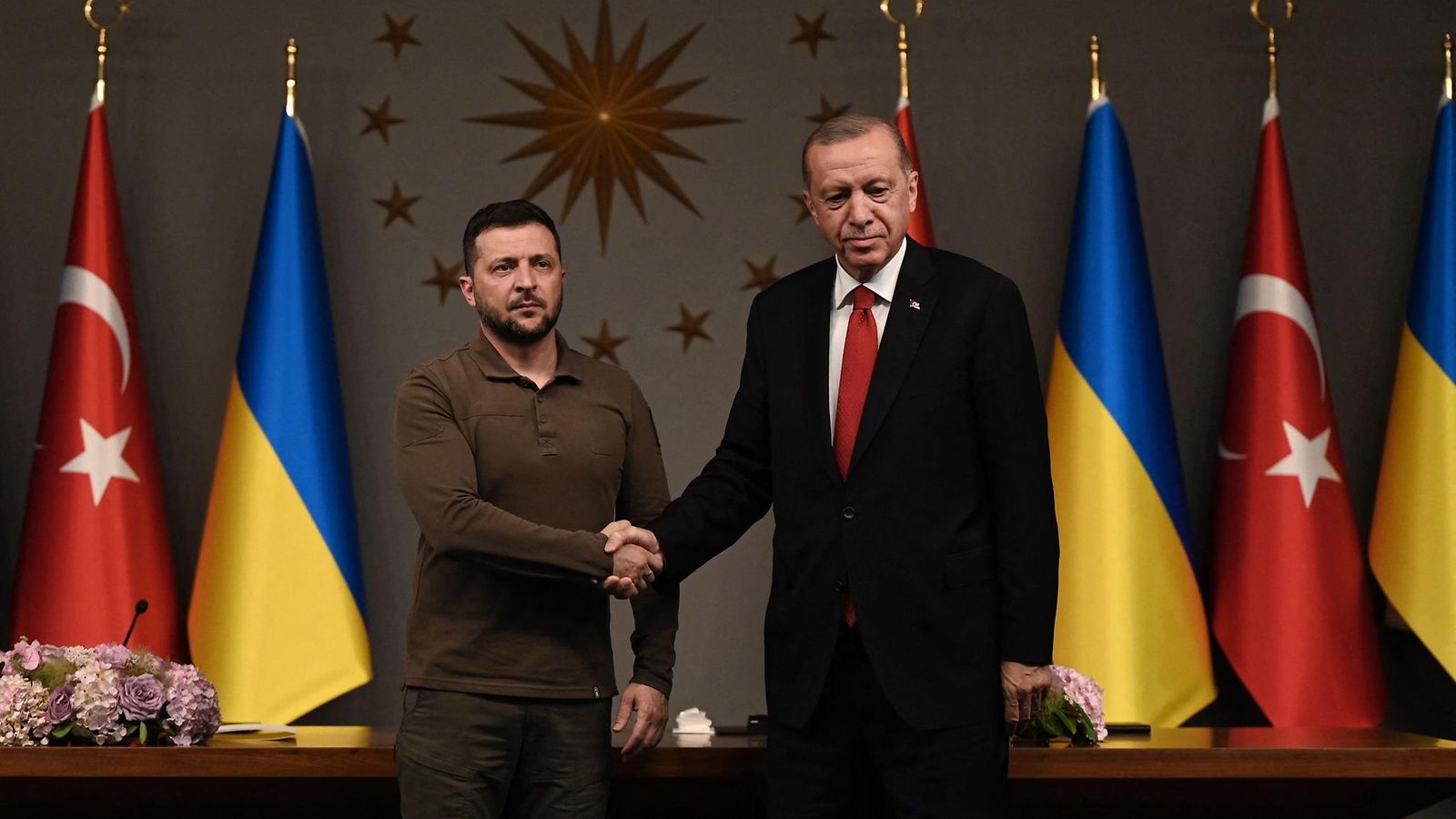 Erdogan ja Zelenskyi Turkissa heinäkuussa 2023.