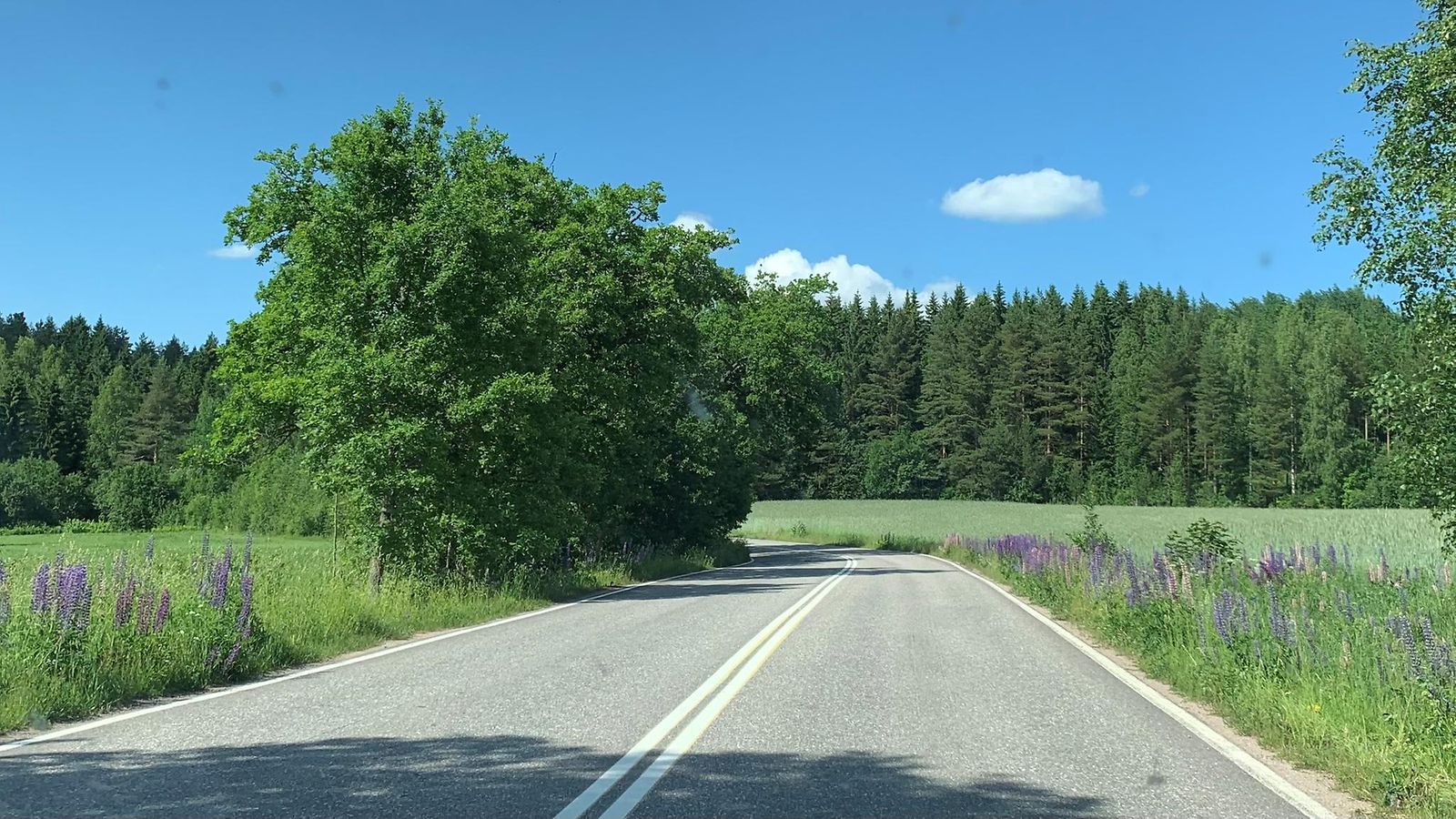 mtv sulkuviiva tuplavalkoiset