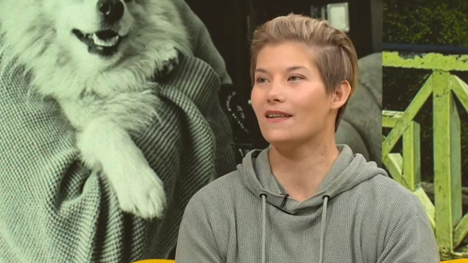 heidi foxell husu