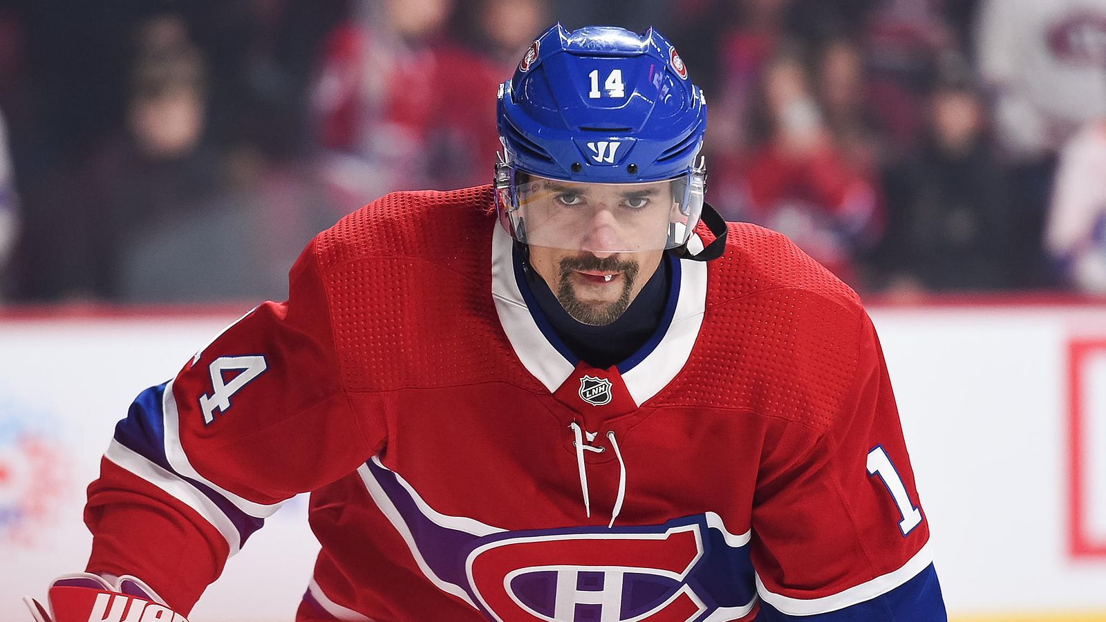 Tomas Plekanec