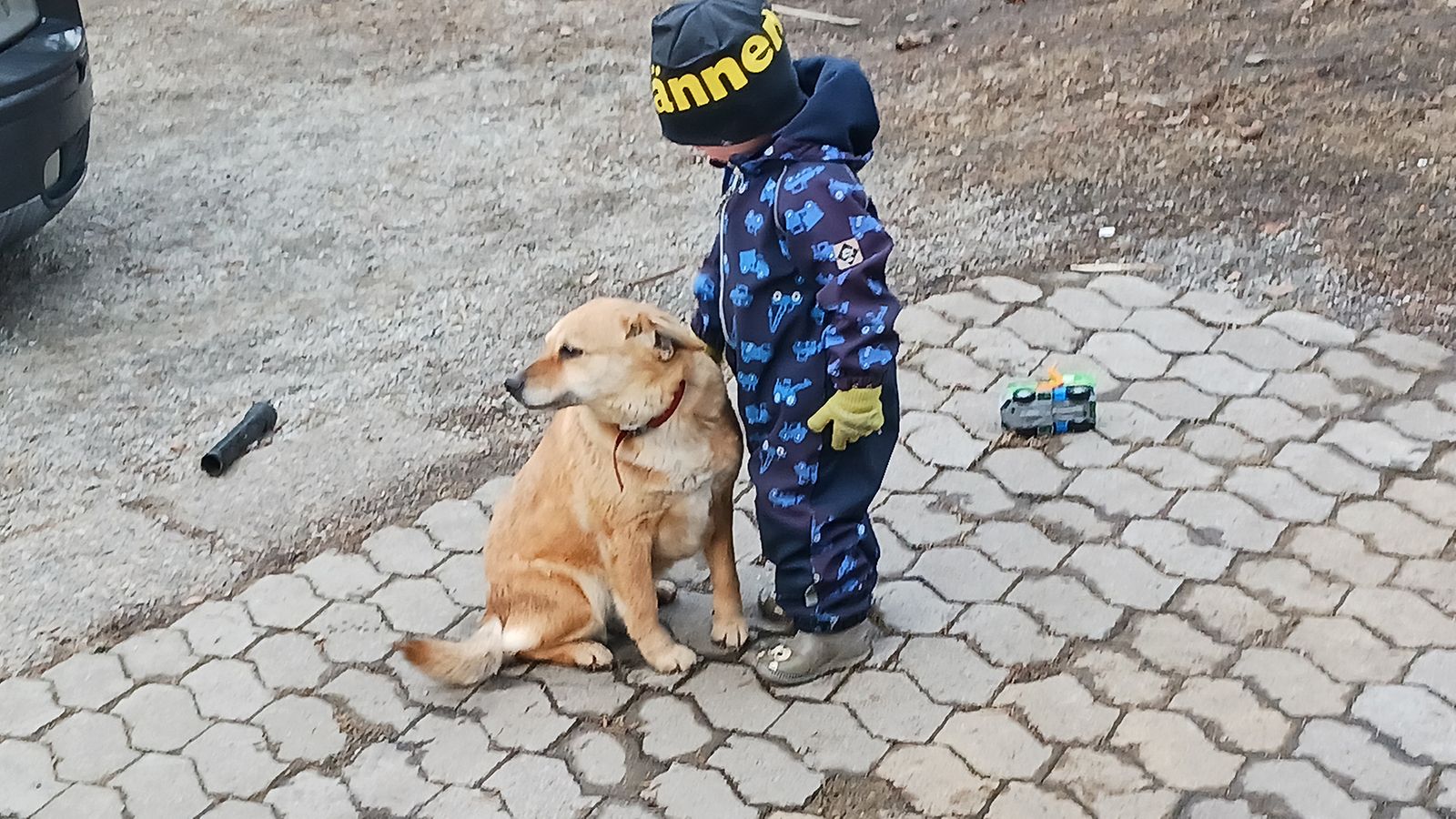 Anne Rautiaisen perheen Elli-koira oli niin aikuisten kuin lastenkin suosikki.