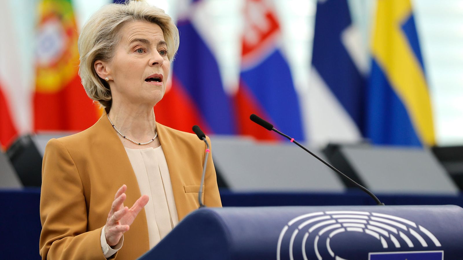 Ursula von der Leyen AOP