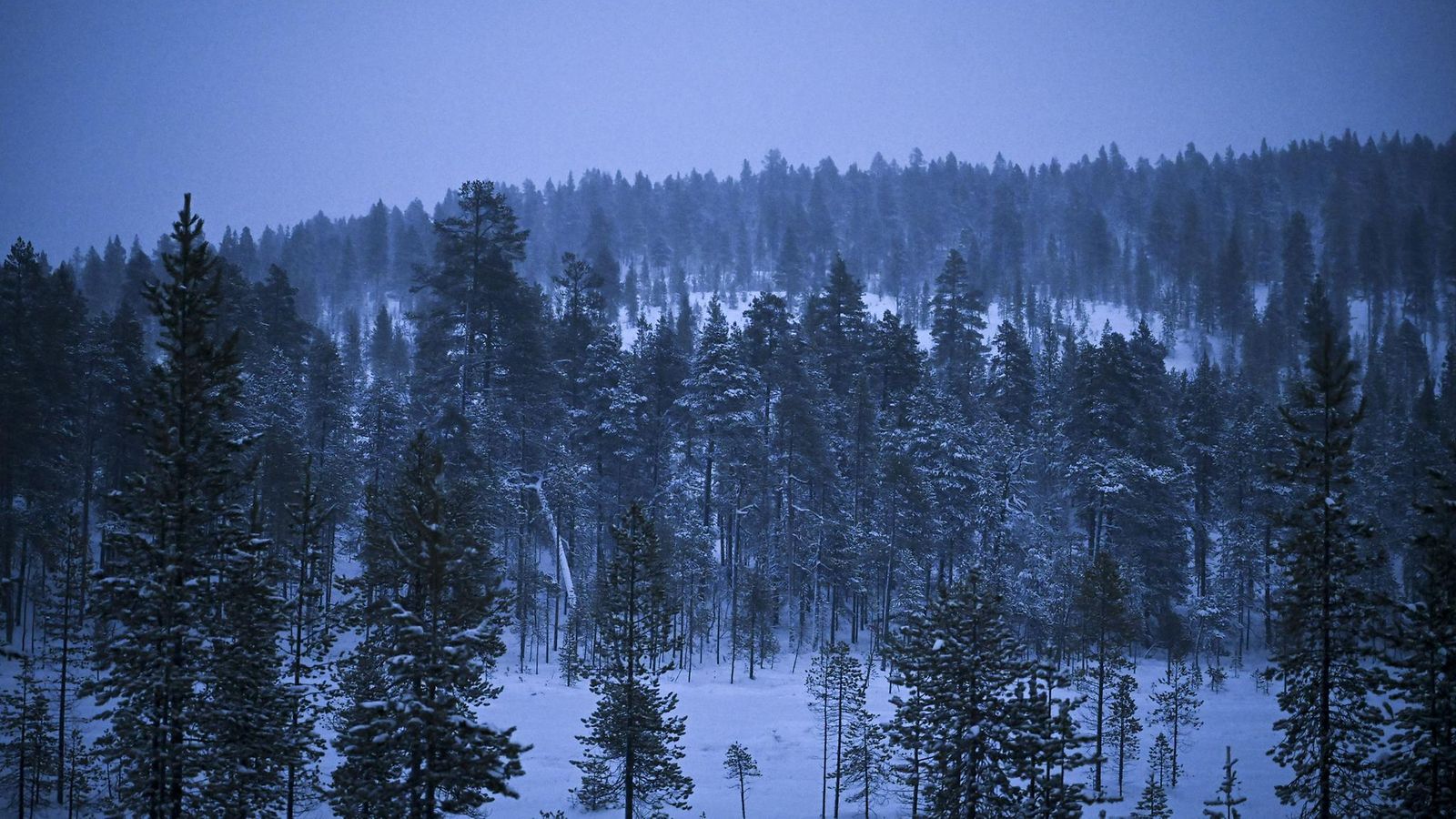 20122023 LK METSÄ