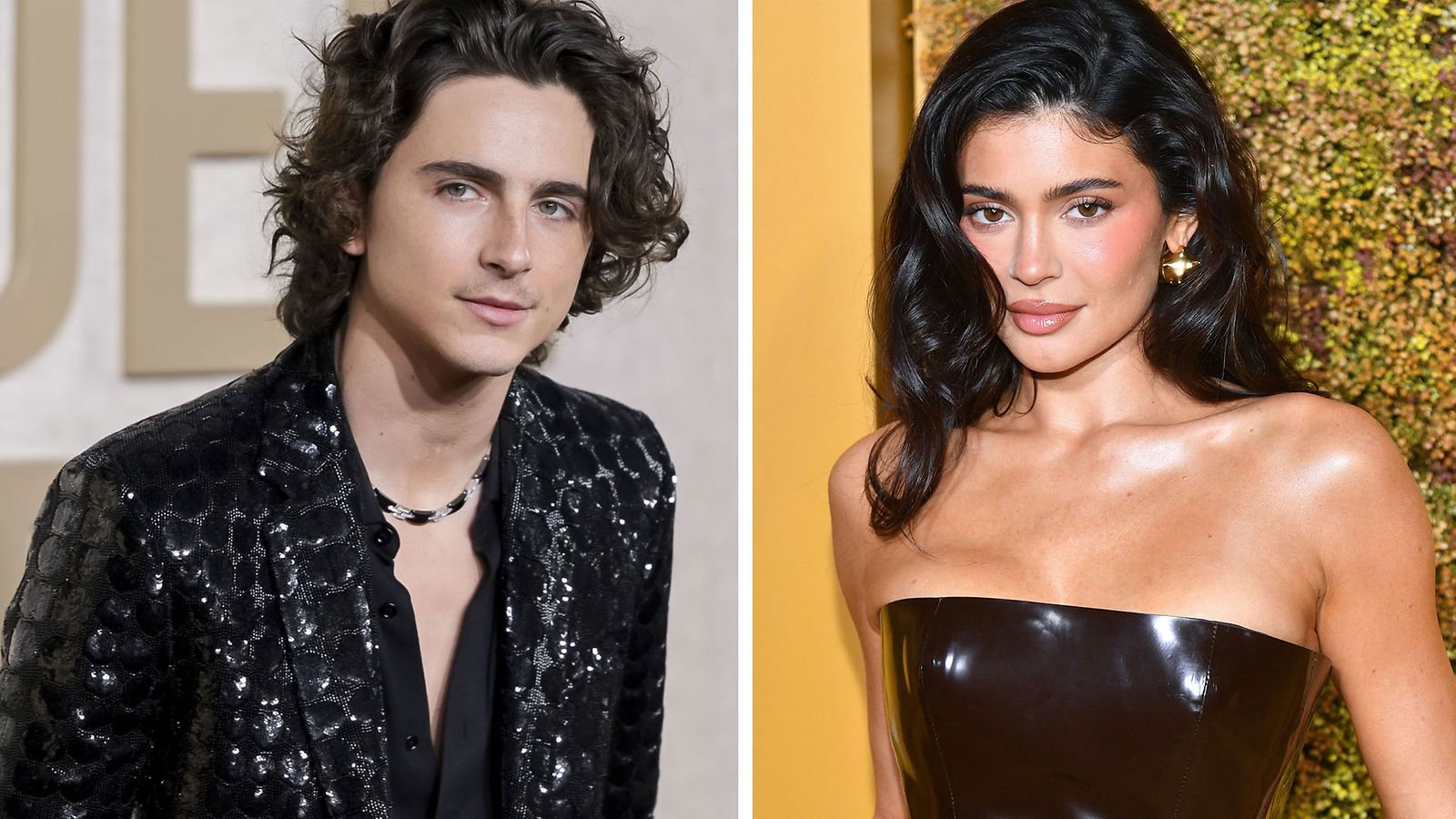 AOP Timothee chamalet ja kylie jenner