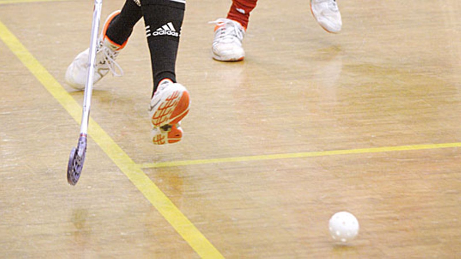 Salibandy kuvitus, kuva: Lehtikvua