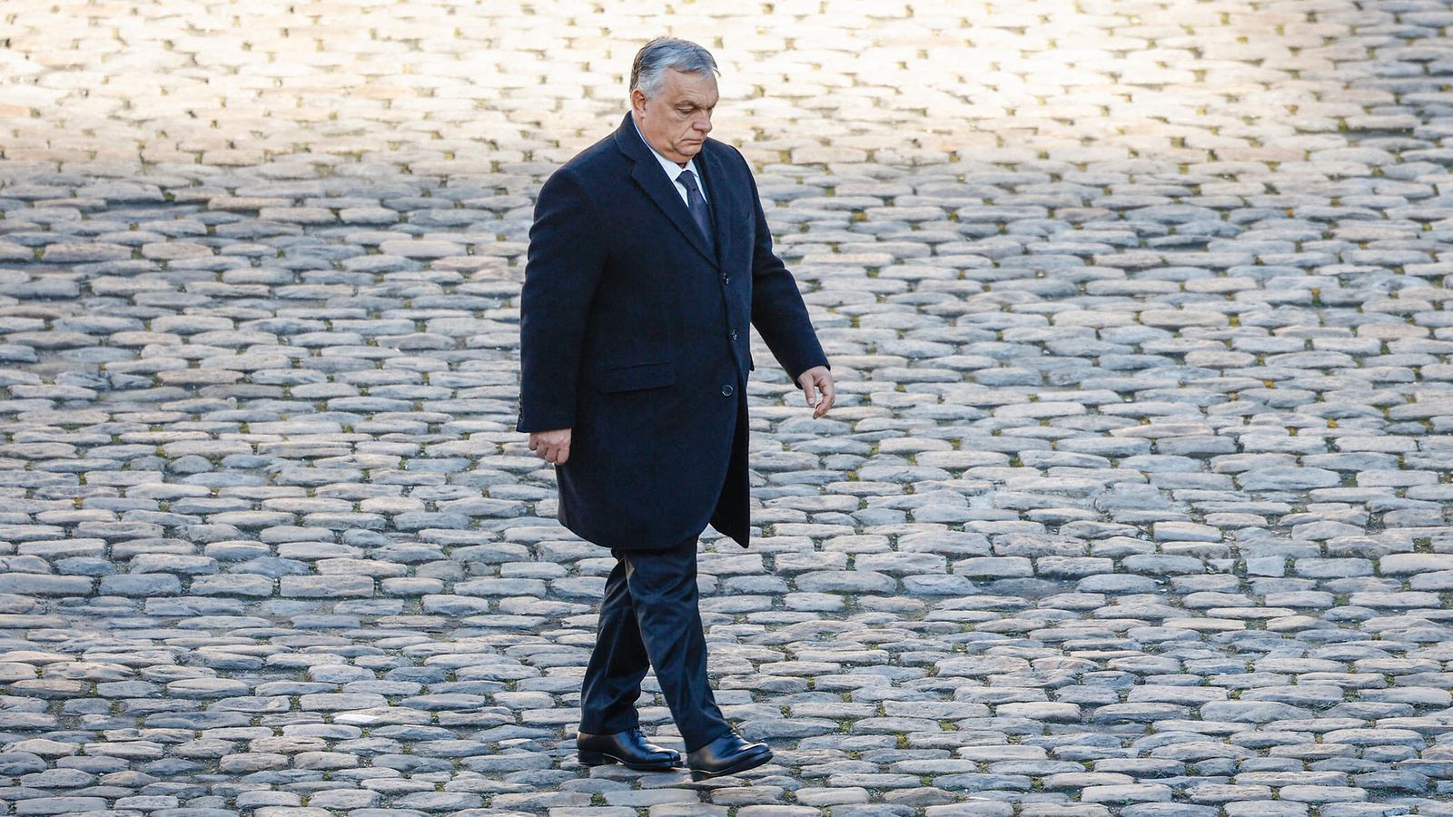 Viktor Orban AOP