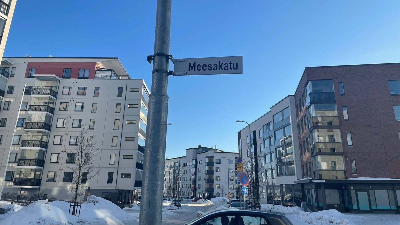 Meesakatu3