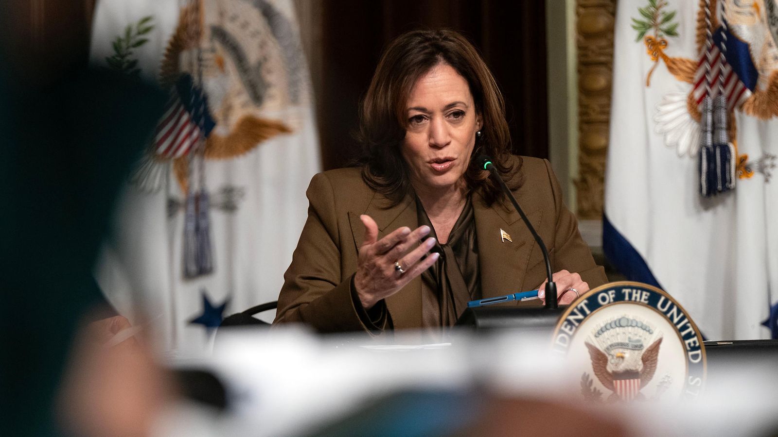 04032024 aop kamala harris