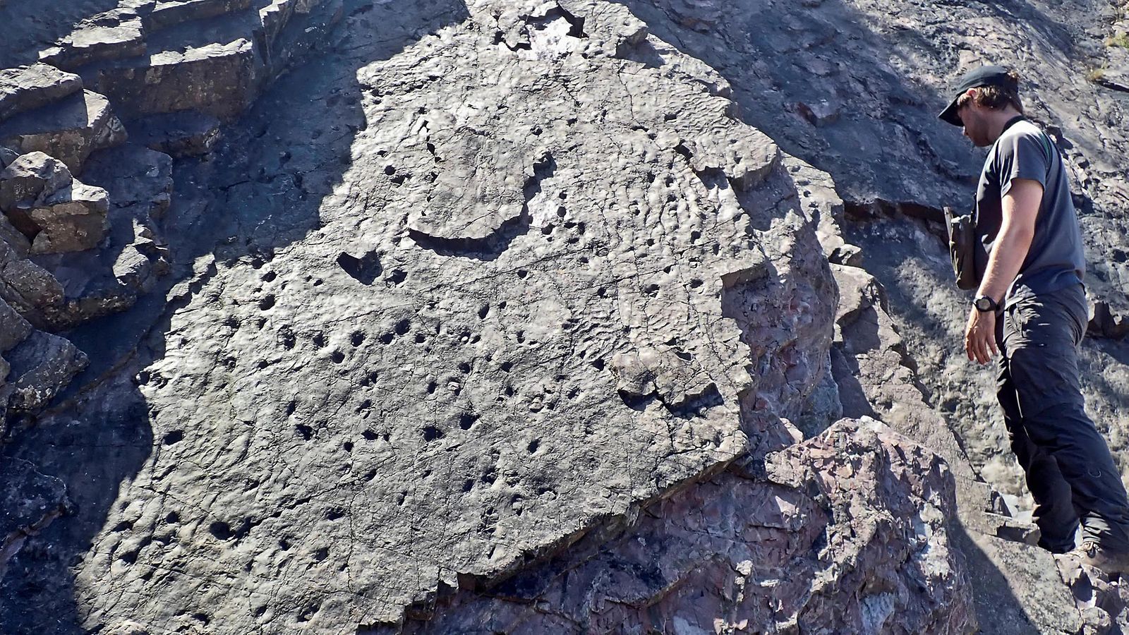 Cliffs of the Hangman Sandstone Formation, where many of the fossils were found. Credit: Neil Davies