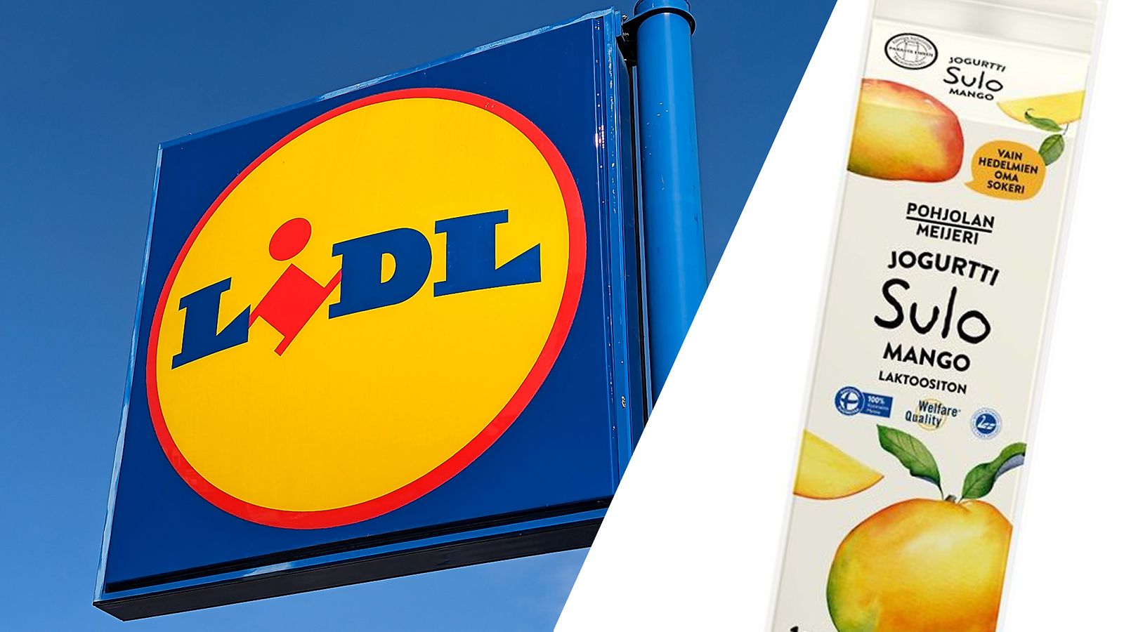 lidl_etu1