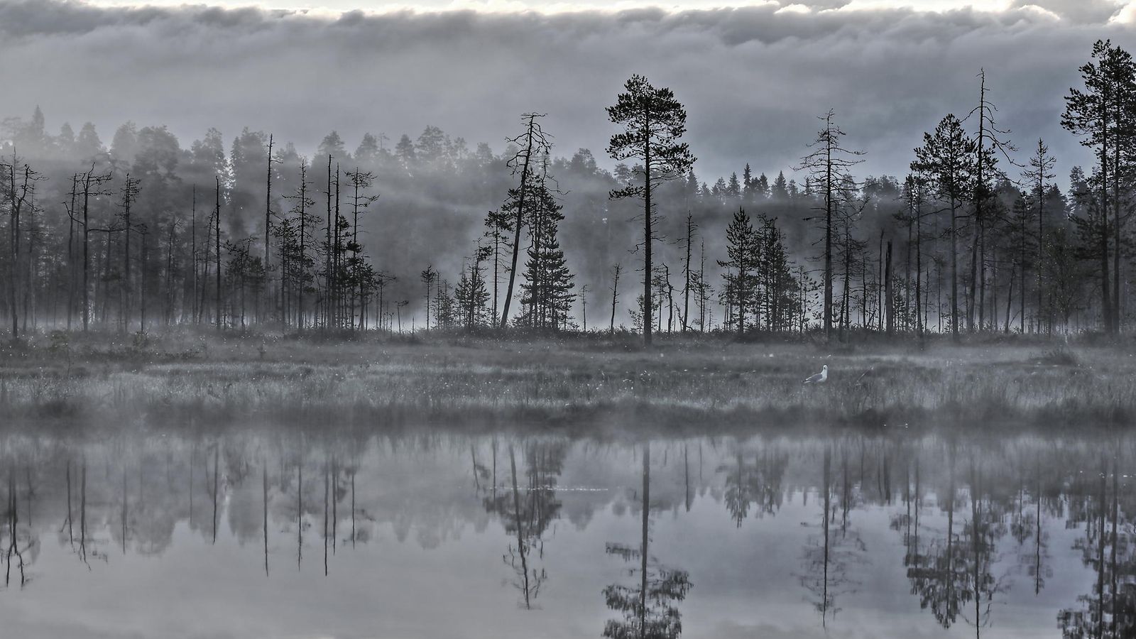 25032024 LK KUHMO