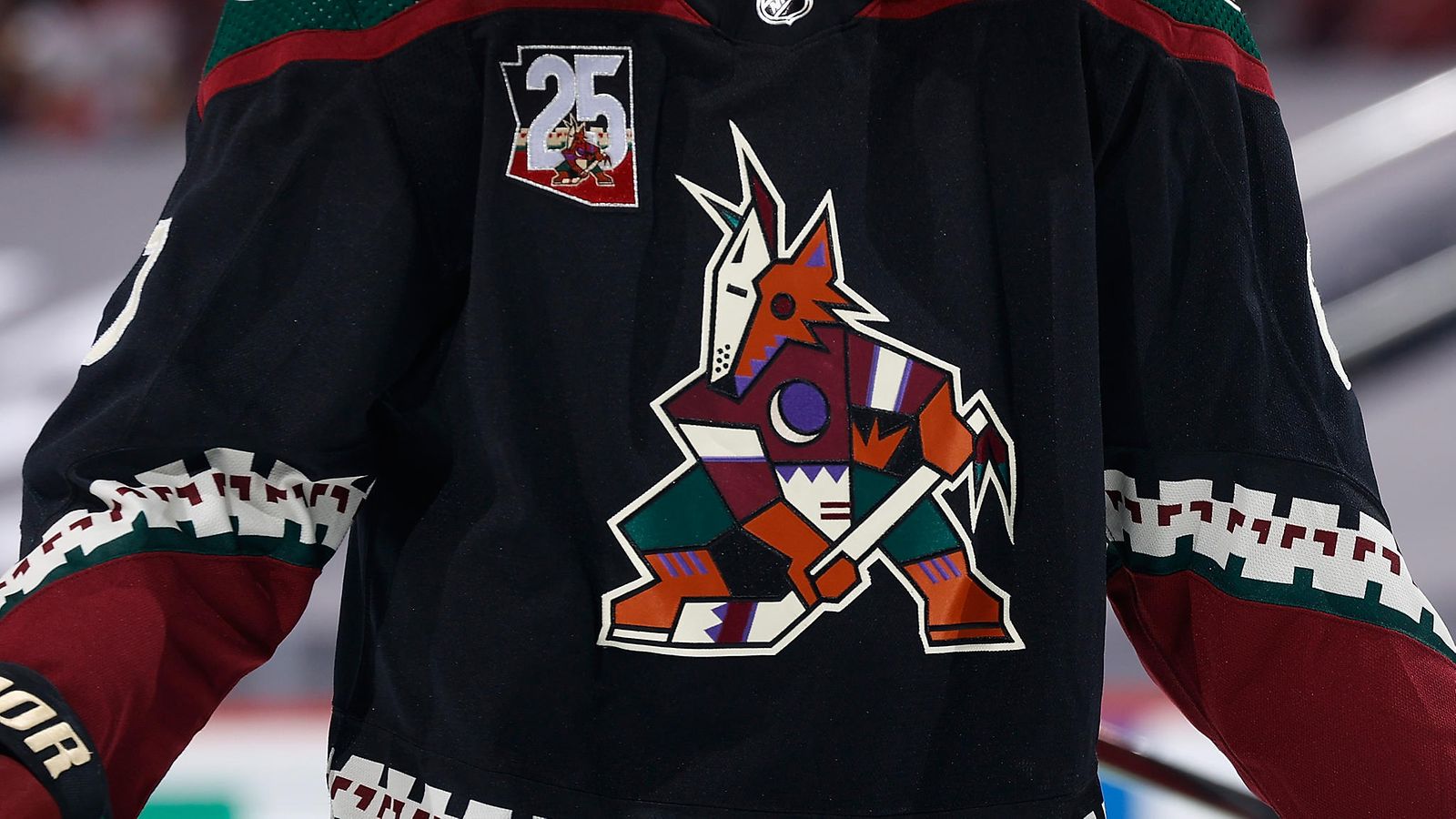 Arizona Coyotes