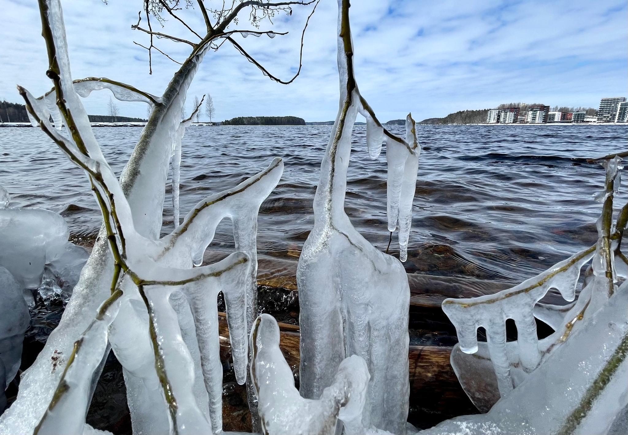 Lukijan kuva Liisa Niiva-Korpela Saimaa Lappeenranta