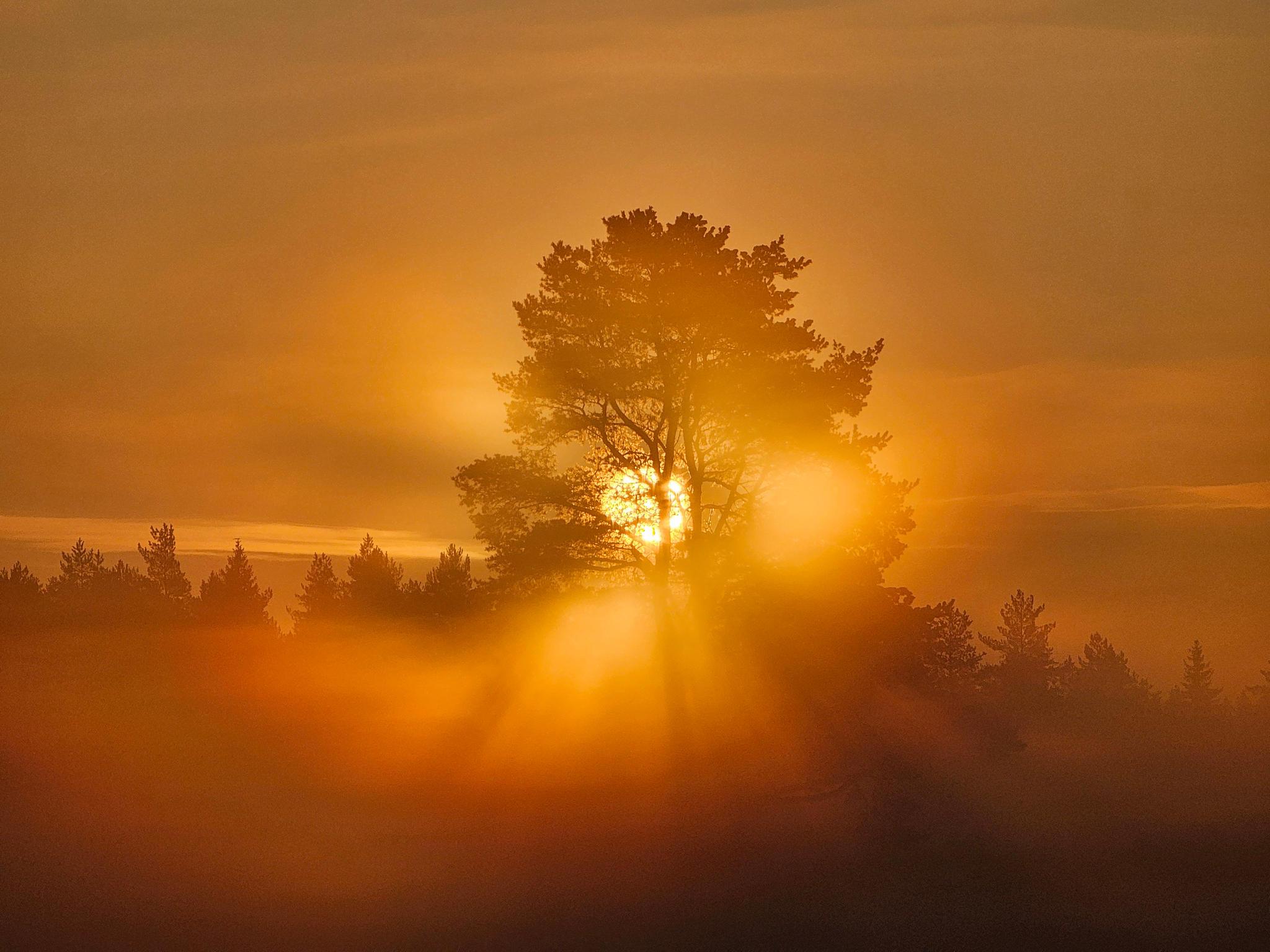 Lukijan kuva Heidi Multanen Rääkkylä