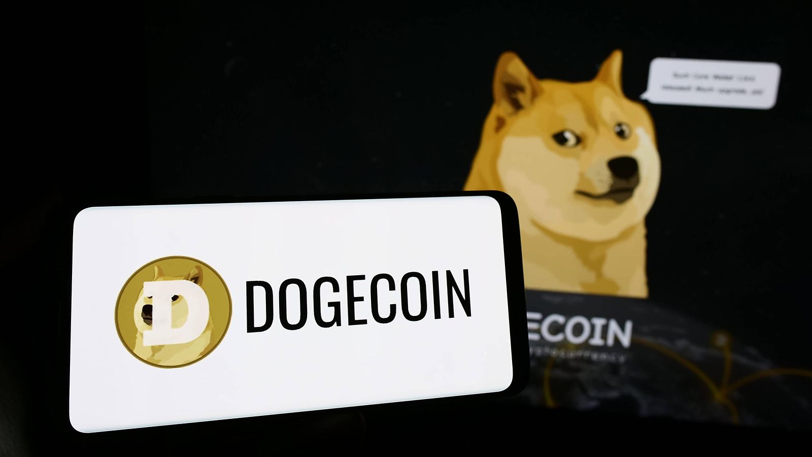 Doge, Kabosgu, Shiba inu, kruptovaluutta dogeoin, koira