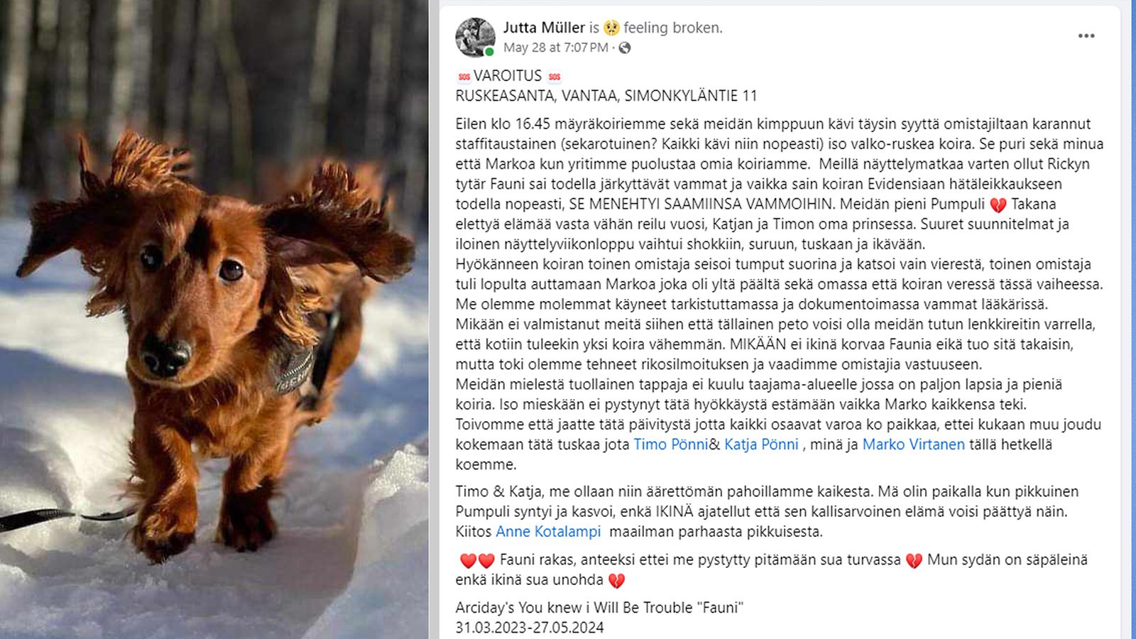 koira, facebook, hyökkäys