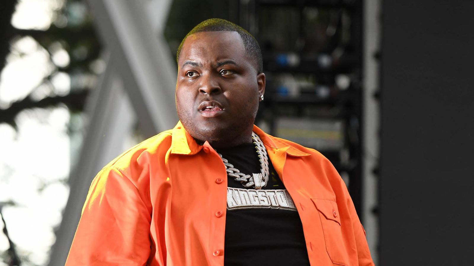 16.1.258735140 sean kingston aop