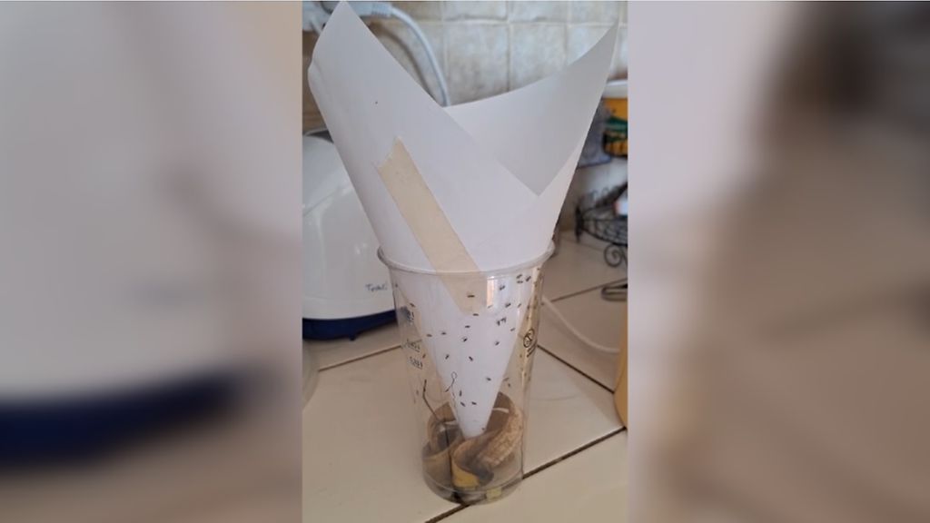 Maarit testasi eri keinoja päästäkseen eroon banaanikärpäsistä – yksi kikka oli ylivoimainen