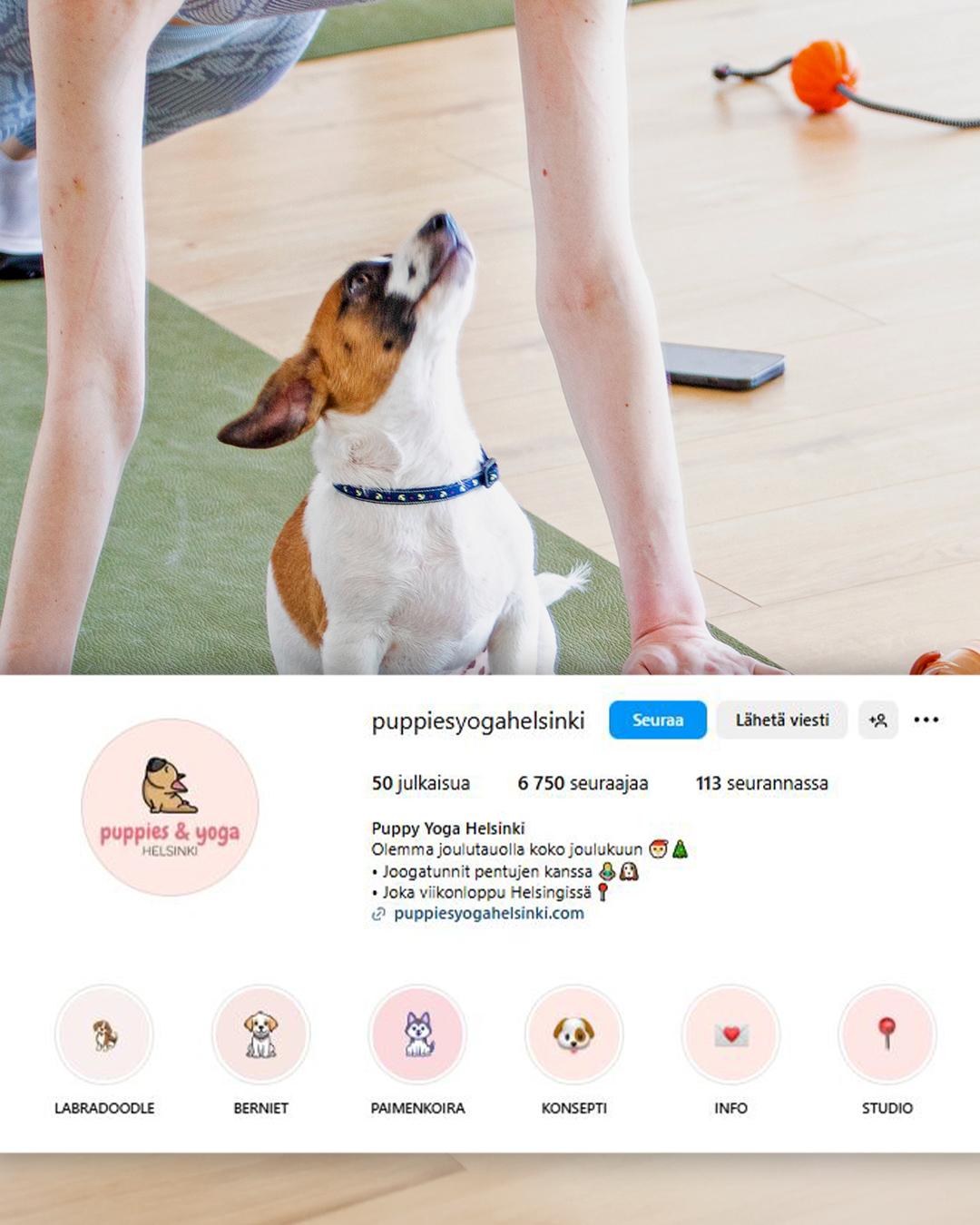 1112 pentujooga koiranpentu jooga puppies&yoga instagram 2