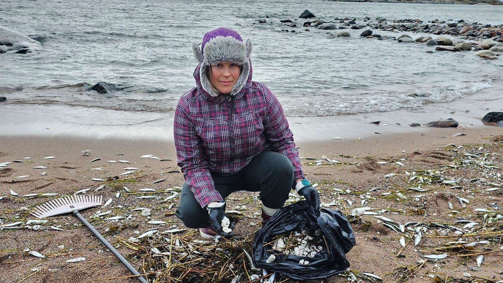 Hanko, ranta, siivous, Roskapostia Hangosta, Inkeri Pekkanen