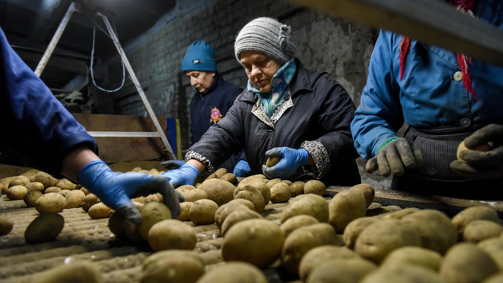 AOP Perunoita pakattiin maatilalla Lukashivkan kylässä Tšernihivin alueella Ukrainassa 28. lokakuuta 2022. Maatila oli aiemmin tuhoutunut Venäjän hyökkäyksessä.