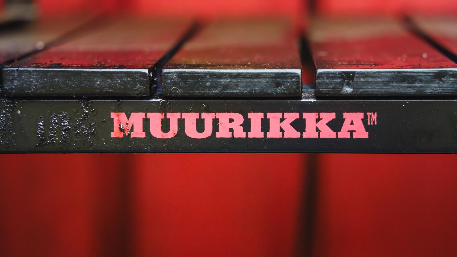 Muurikka