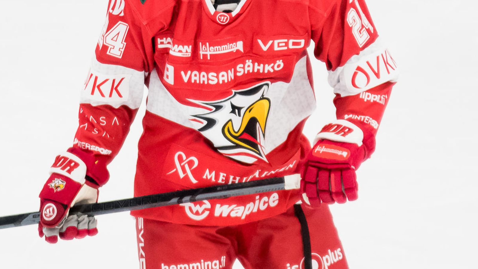 Vaasan Sport