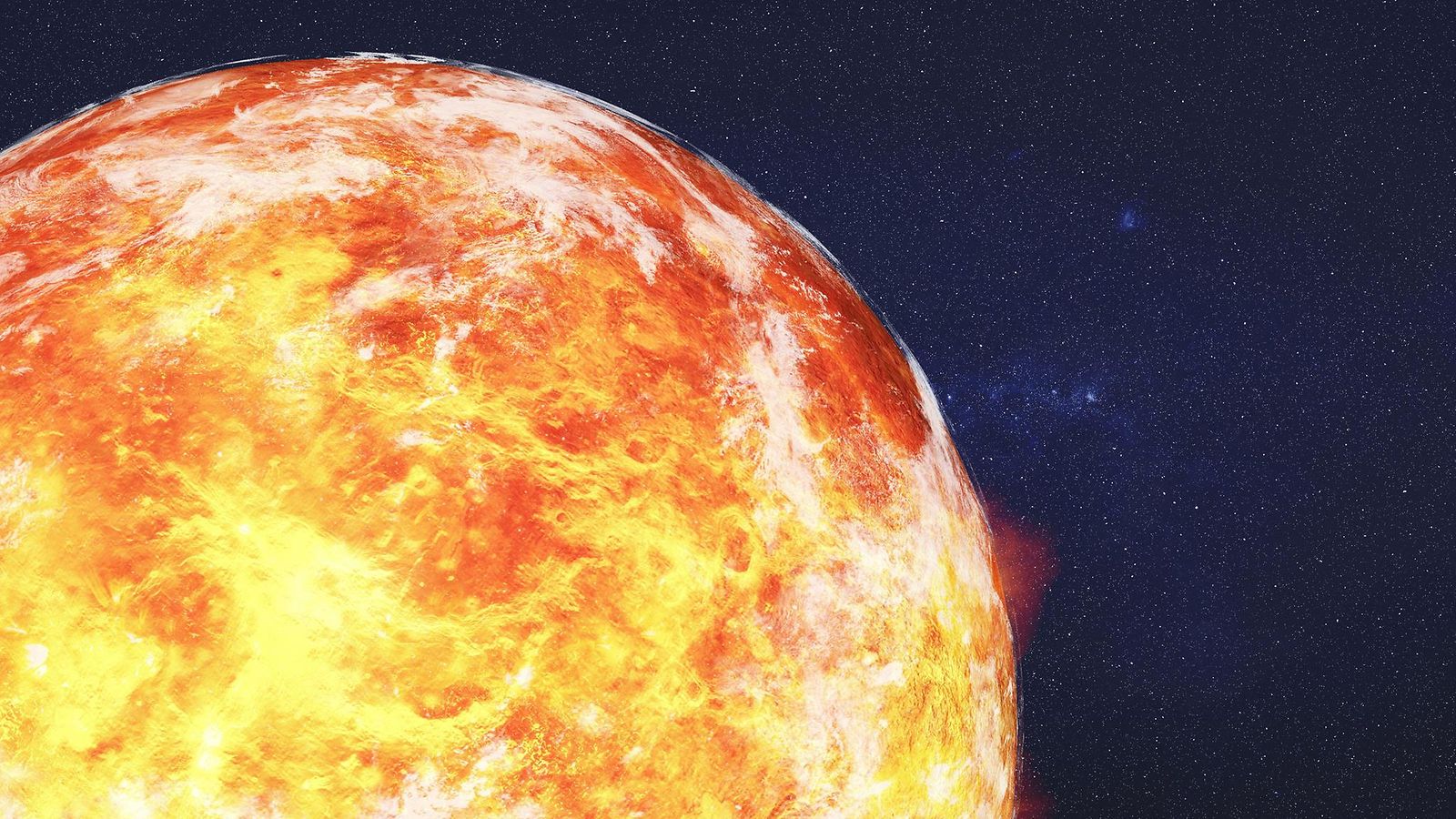venus aop