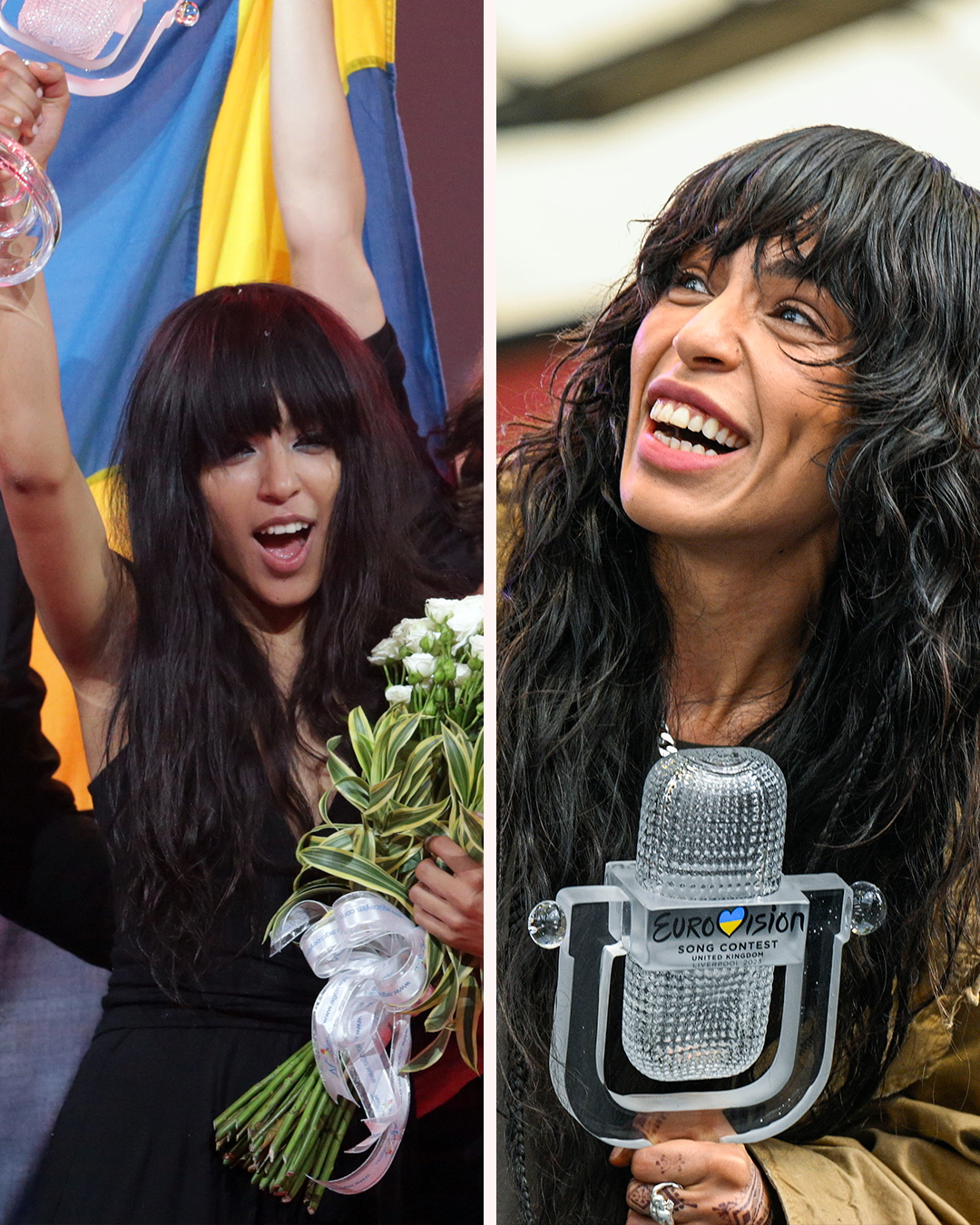 AOP LOREEN