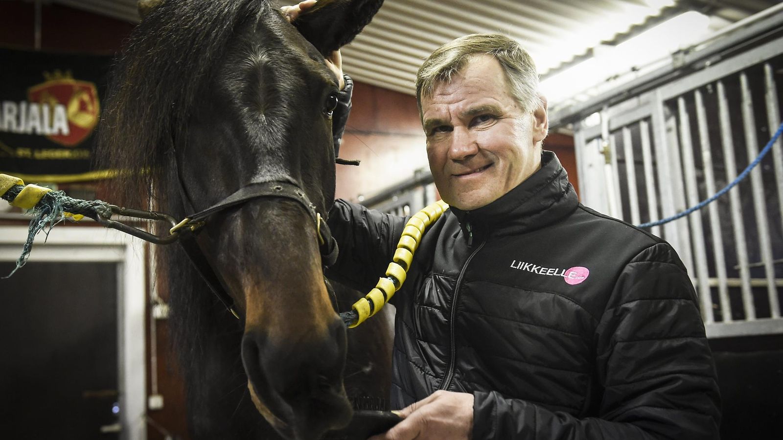 LK Antti Teivainen, raviohjastaja