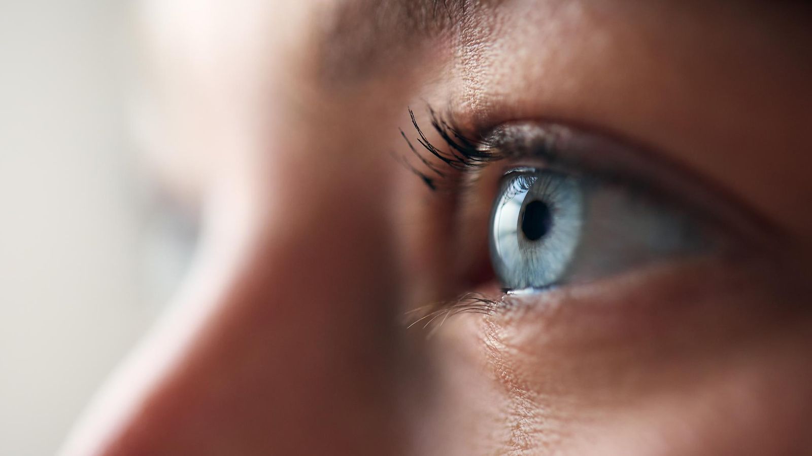 shutterstock_2456387633